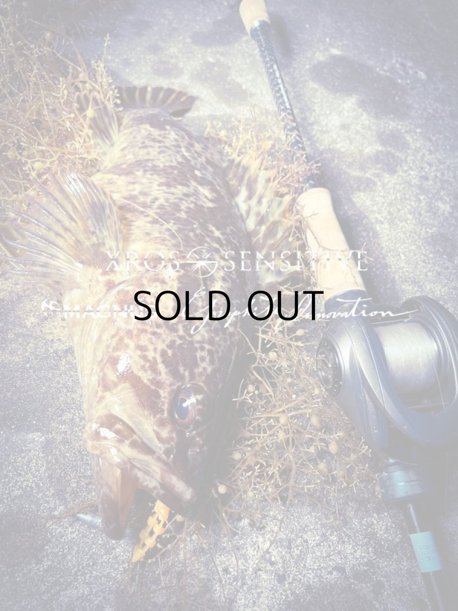 画像10: XrosSensitive XSC-71ML+ (10)